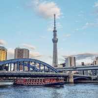 Solo & Budget Summer Adventure in Ryogoku, Tokyo!** 🌸🔥
