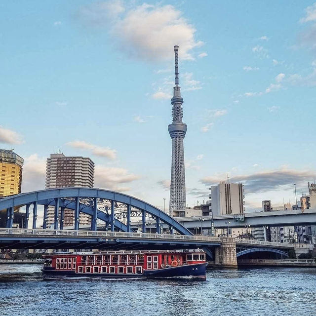 Solo & Budget Summer Adventure in Ryogoku, Tokyo!** 🌸🔥