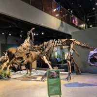Perot Museum of Nature and Science – Dallas
