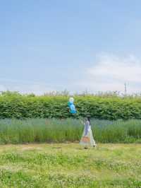 (실시간) 파란 물결 시작된 아그로랜드🌿💙