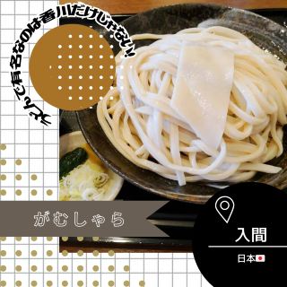 [埼玉/入間🇯🇵] 埼玉烏龍麵排行榜上的常客🤍Gamushara
