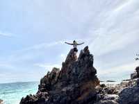 ☀️🌴 Escape to Paradise: Coral Island Adventure 🌊🐠