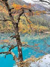 Chillin by Rhinoceros Lake in Sichuan: Blue Water Goals