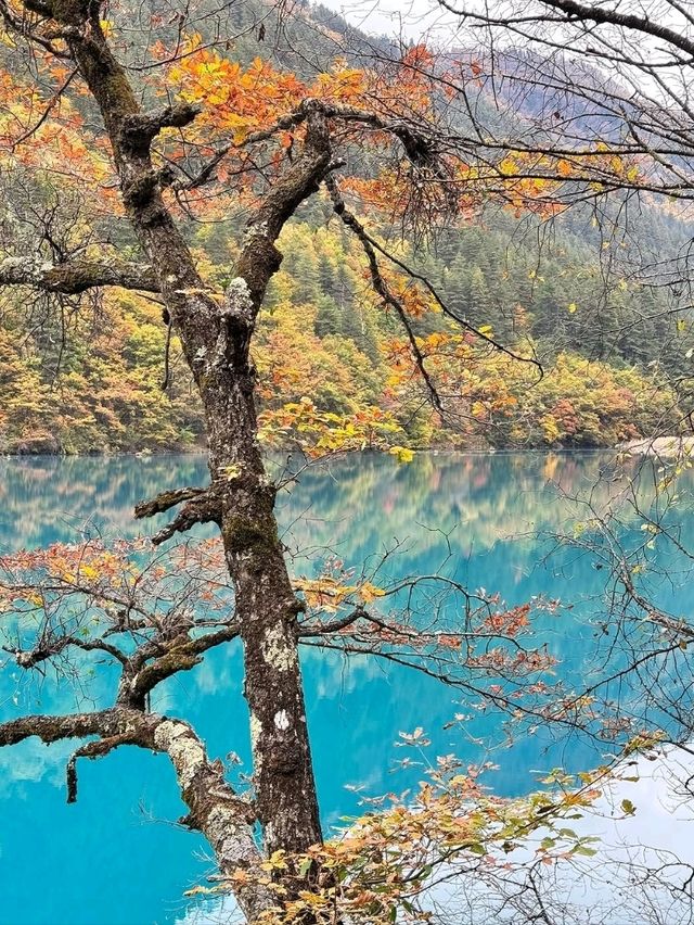 Chillin by Rhinoceros Lake in Sichuan: Blue Water Goals