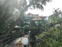 Bangkok Tree House