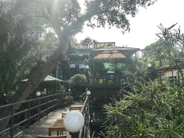 Bangkok Tree House