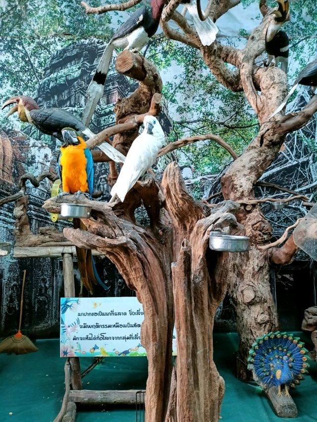 ชมนกหายากกันที่ Monster Aquarium 