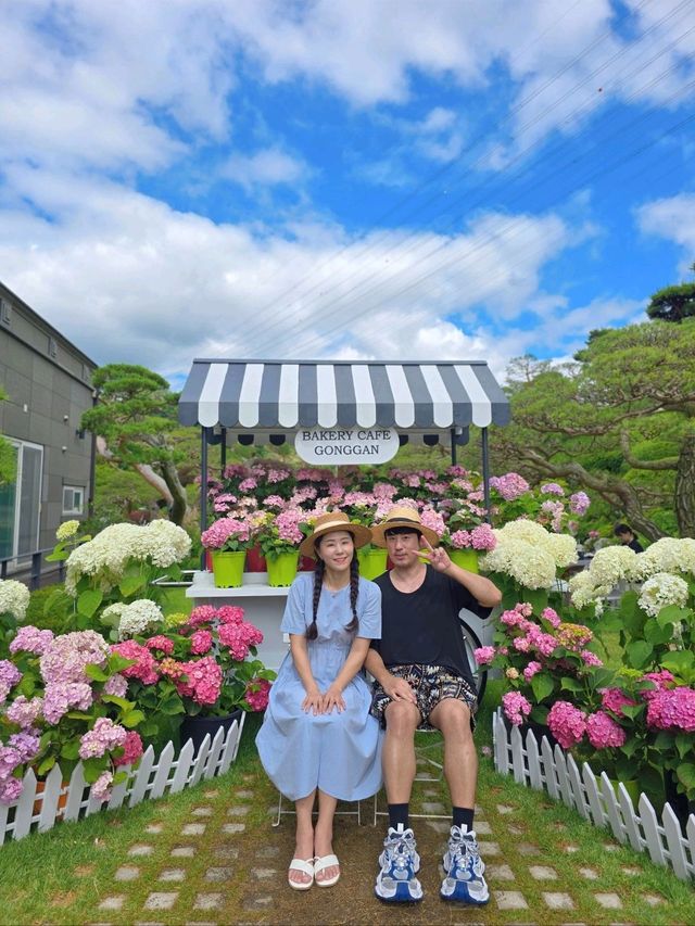 청주 최대규모 수국축제가 열리는 곳💜