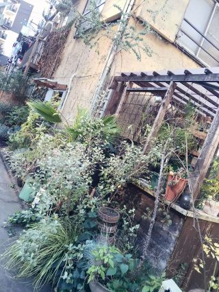 ☕🌸🚶‍♂️【니시신주쿠 고쵸메】카페와 거리의 평온함을 걷다──Counterpart Coffee Gallery와 작음