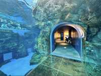 🐠海響館｜フグの街・下関ならではのユニークな水族館体験！