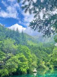 Where Nature Paints with Magic: Discovering Jiuzhaigou