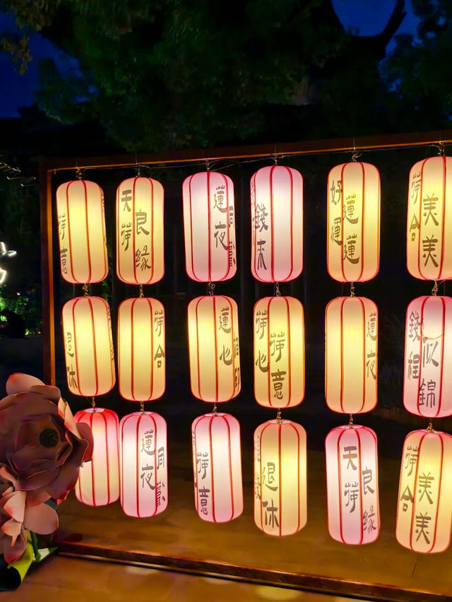 West Lake Magical Night | A Midsummer Lotus Walk Under the Stars