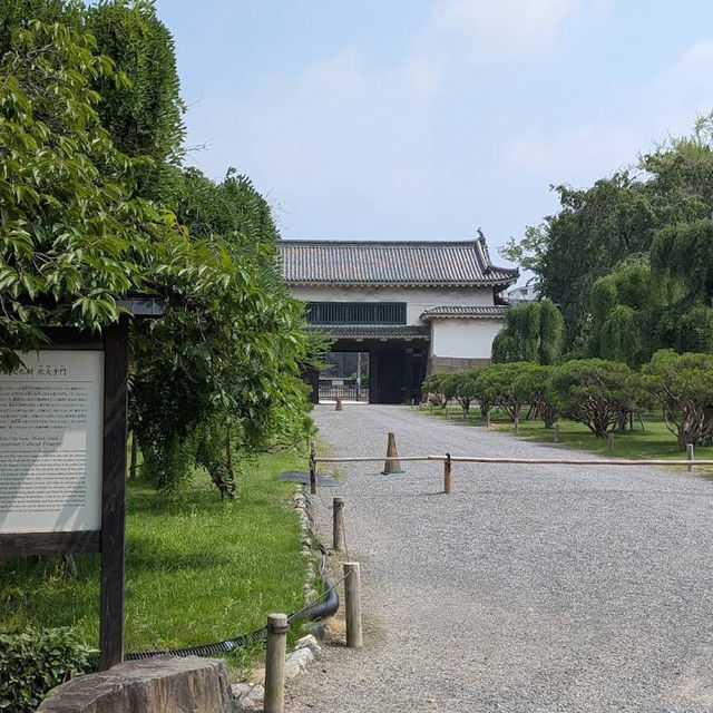 【京都🇯🇵】入った瞬間タイムスリップ🕰二条城