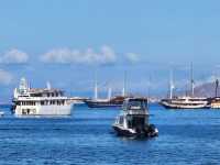 Budget Island Hopping: Labuan Bajo by RORO Ferry