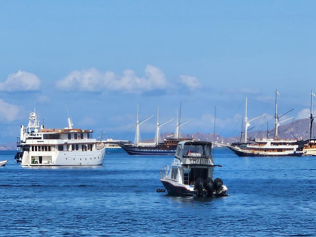 Budget Island Hopping: Labuan Bajo by RORO Ferry