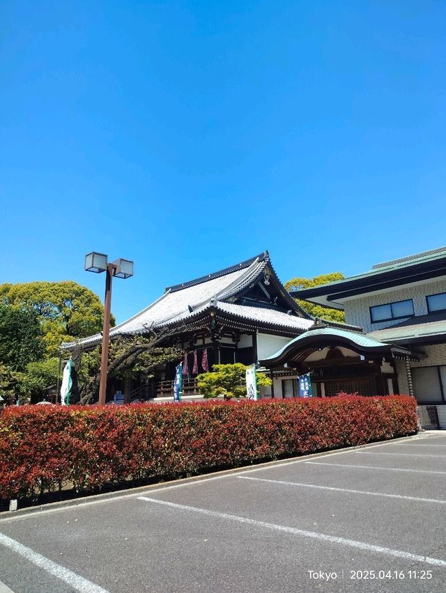 สุ่มเครื่องราง 東叡山寛永寺開山堂 Ueno park