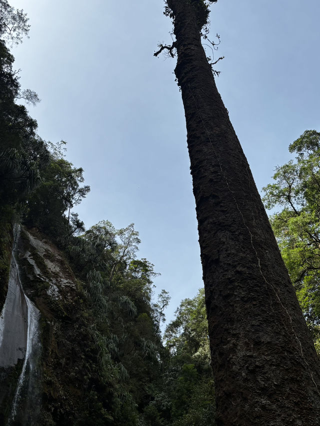 Dua Warna Waterfall-Sibolangit Dua Warna Waterfall-Sibolangit