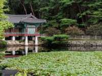 [경주] 서출지 & 통일전, 여유로운 여름 산책 🌿