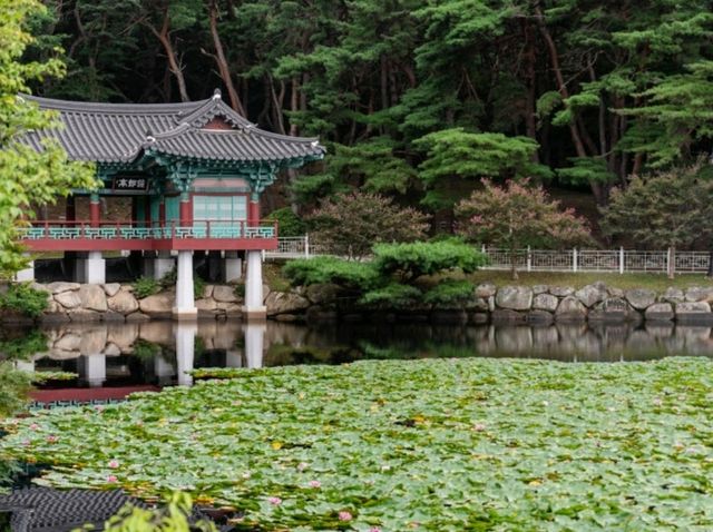 [경주] 서출지 & 통일전, 여유로운 여름 산책 🌿