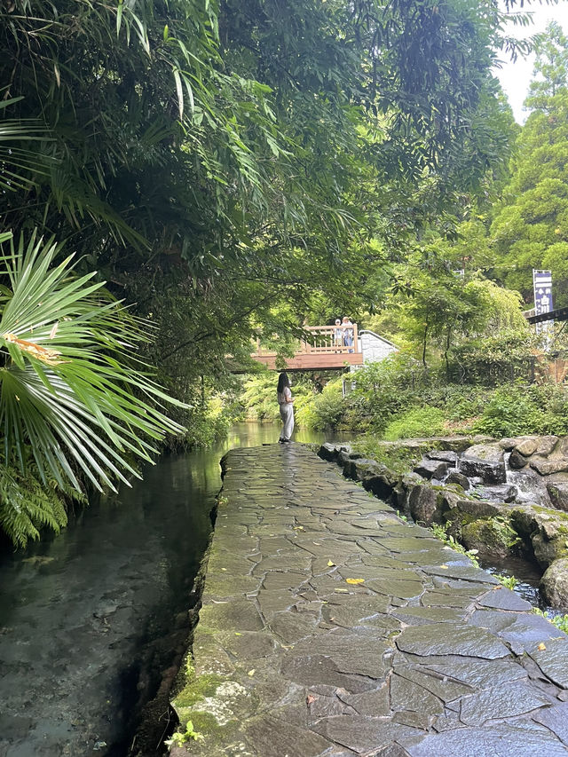 白川水源-冷門卻好玩的南阿蘇景點