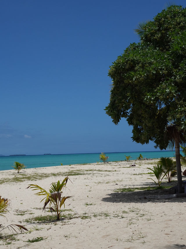 🇫🇯Tivua Island: A Tropical Paradise 🥥🌴