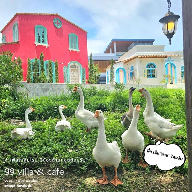 ใครมาแล้วแชร์ความฟินกันน๊า - 99 villa & cafe