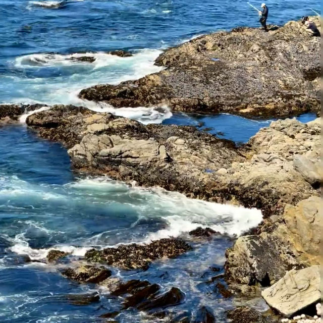 Big Sur Road Trip – California’s Scenic Highway 1