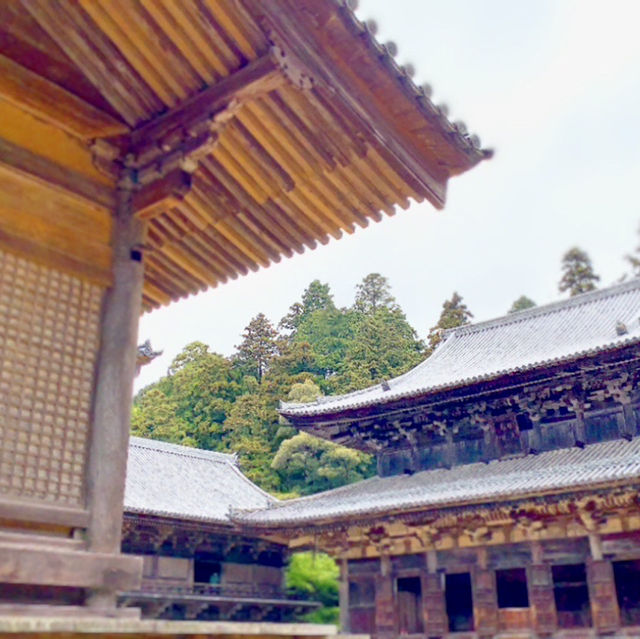 【兵庫】書寫山 圓教寺