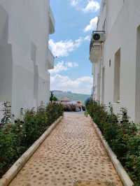 Ideal State: Every Corner is a View