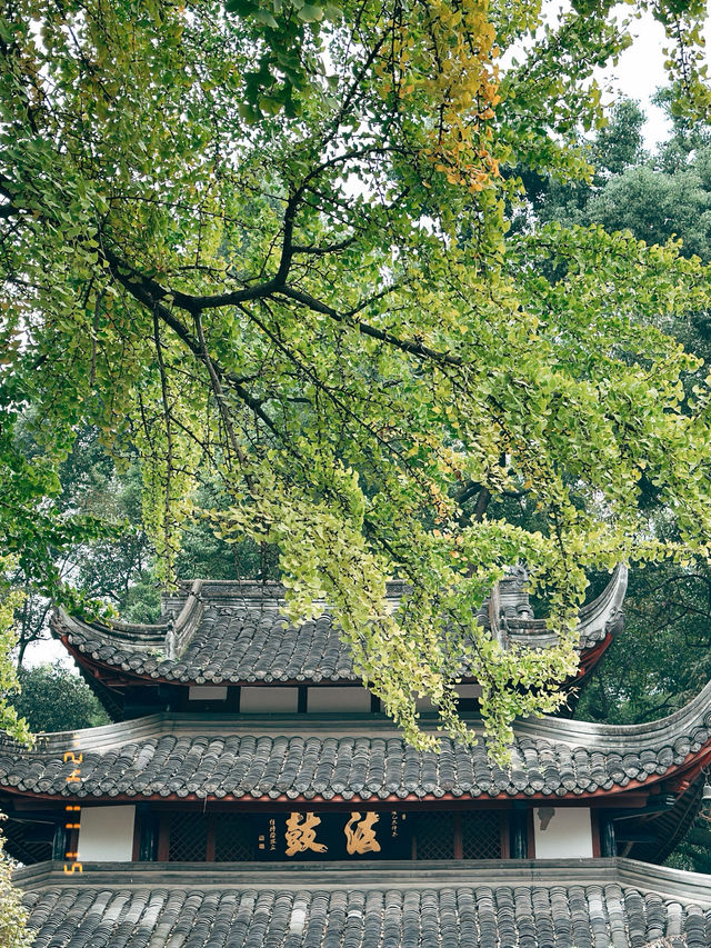 Thành Đô - Văn Thù Viện 文殊院