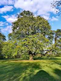 Reynolds Park