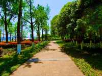 Luobinwang Park: A Cultural Tribute in Yiwu