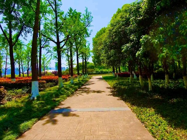Luobinwang Park: A Cultural Tribute in Yiwu