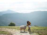 อาข่า ฟาร์มวิลล์ ( Akha FarmVille)