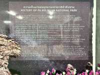 หมอกสวยๆ ที่ป่าหินงาม