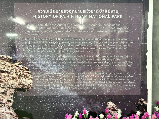 หมอกสวยๆ ที่ป่าหินงาม