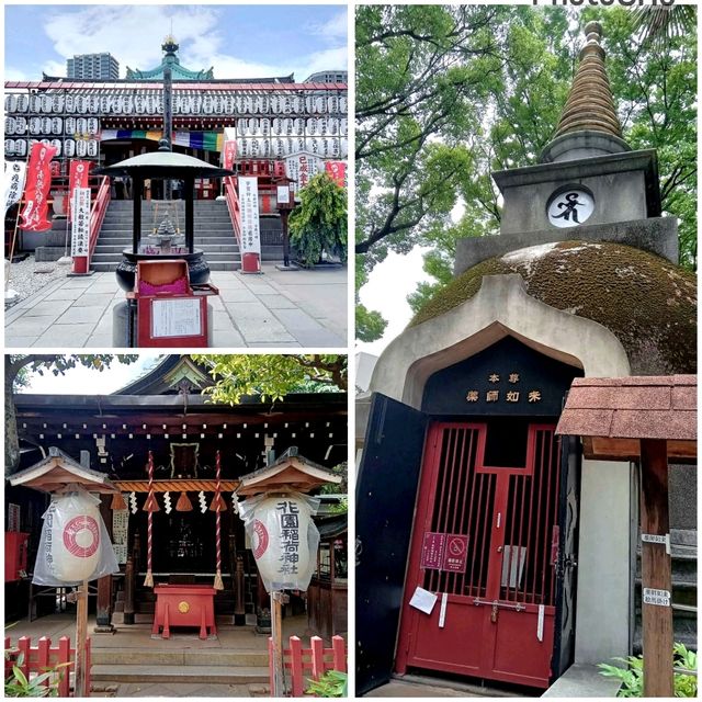 Ueno Park🌳 Ueno Park🌳