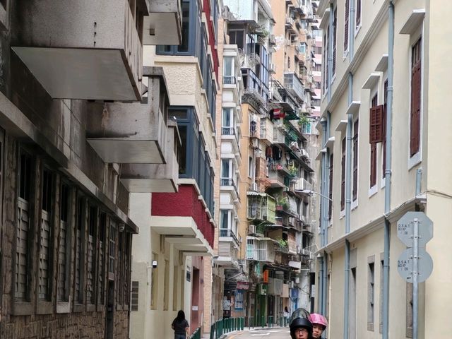 Macau at Night: Neon Dreams & Must-See Spots 🌃✨