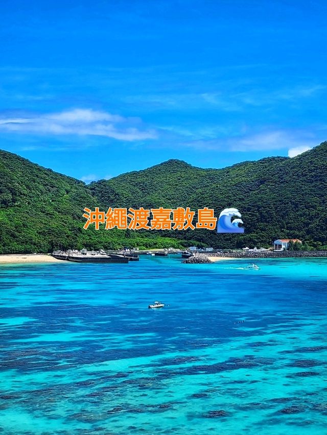 沖繩渡嘉敷島🌊|體驗海島慢活日常🏝
