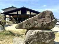 鳥取砂丘~日本的沙漠絕佳景色~