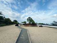 Kamiyama- Atami : Acao Forest