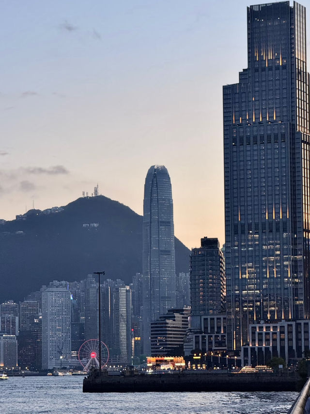 麗星郵輪🛳️房間分享