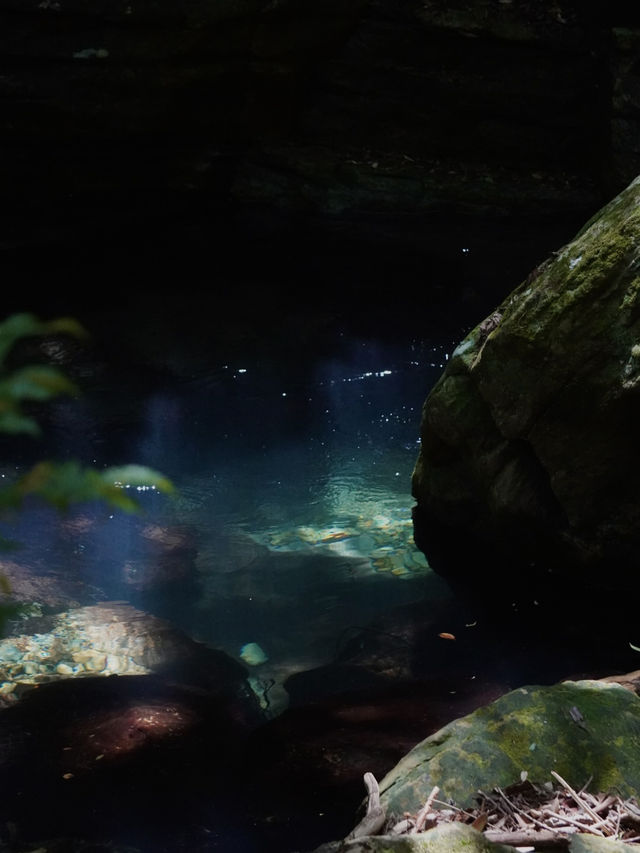 💧 富田の水と山道の小さな滝（和歌山・白浜町）
