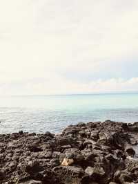 The Perfect Family-Friendly Shoreline