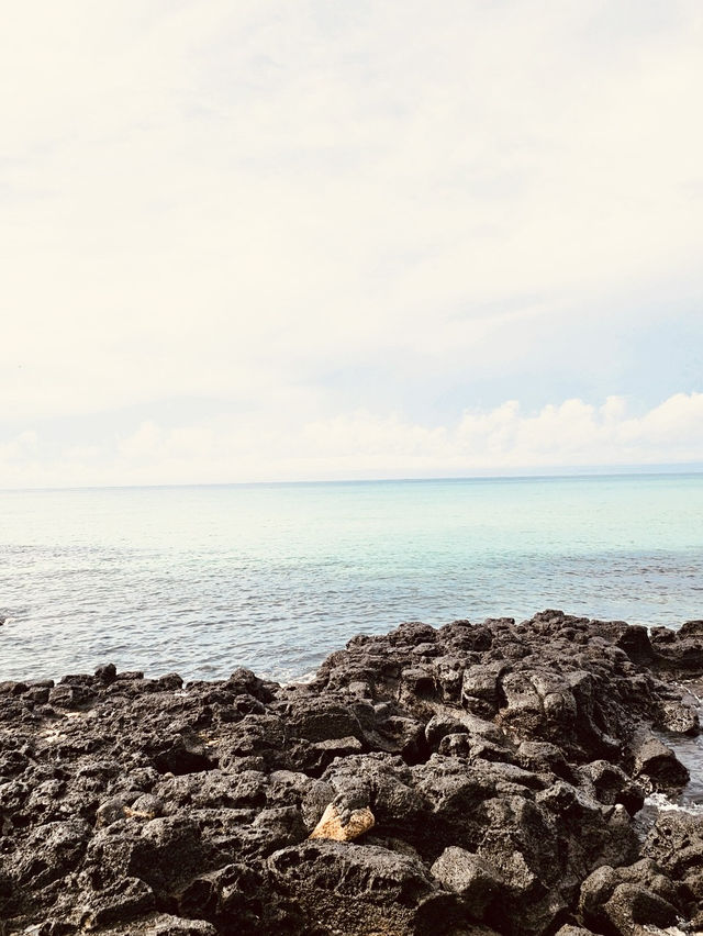 The Perfect Family-Friendly Shoreline The Perfect Family-Friendly Shoreline