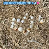 【沖縄🇯🇵】綺麗な貝殻を見つけられるおすすめビーチ🐚🪸