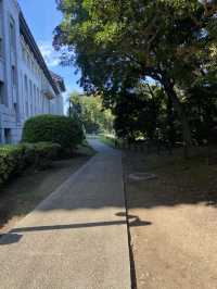 【東京都上野🇯🇵東京国立博物館　庭園】歴史に触れながらのんびり散歩☺️
