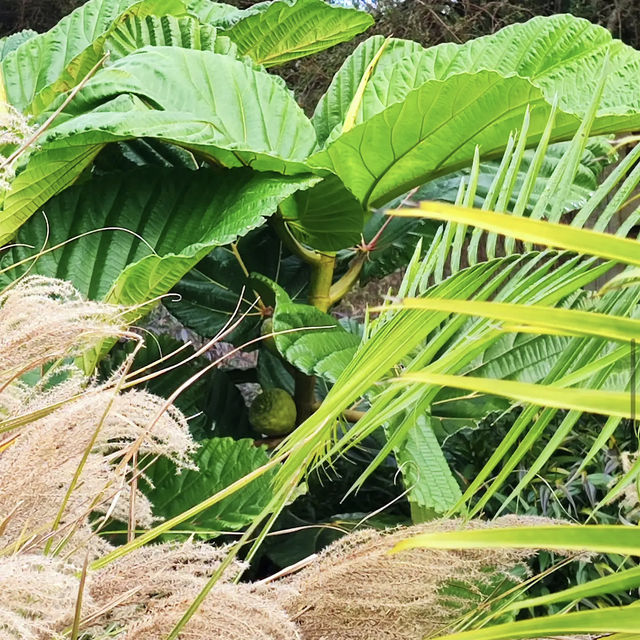 Auckland Botanic Gardens