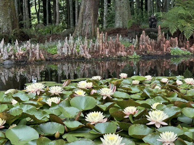 Ayrlies Garden and Wetlands