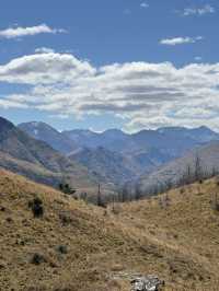 【ニュージーランド・クイーンズタウン】絶景に出会うトレイル「Queenstown Hill Walking Track」